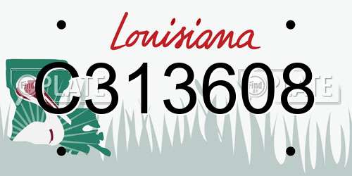 C313608 Louisiana License Plate