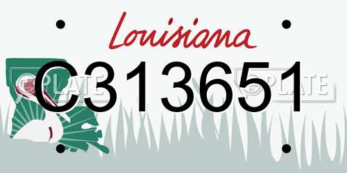 C313651 Louisiana License Plate