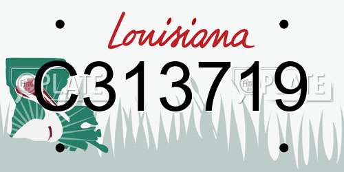 C313719 Louisiana License Plate