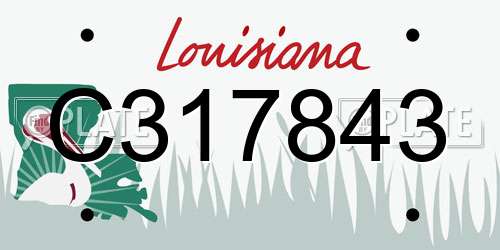 C317843 Louisiana License Plate