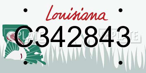 C342843 Louisiana License Plate