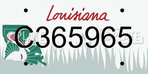 C365965 Louisiana License Plate