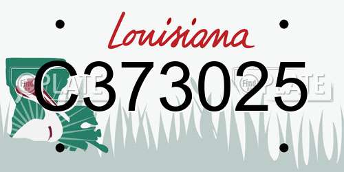 C373025 Louisiana License Plate