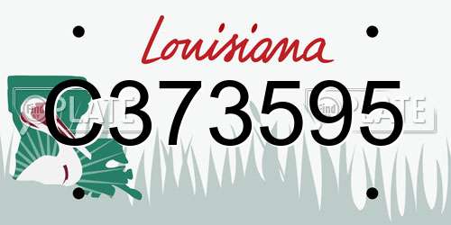 C373595 Louisiana License Plate