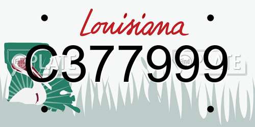 C377999 Louisiana License Plate