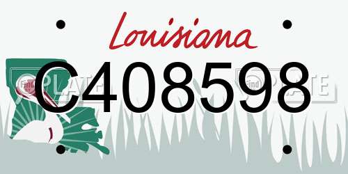 C408598 Louisiana License Plate