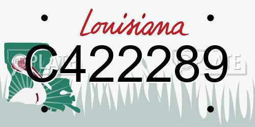 C422289 Louisiana License Plate