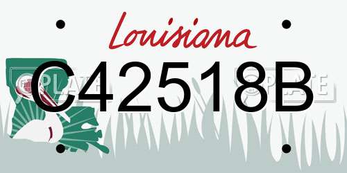 C42518B Louisiana License Plate
