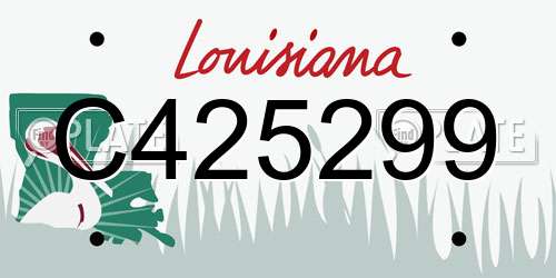 C425299 Louisiana License Plate