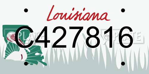 C427816 Louisiana License Plate
