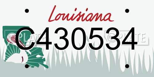 C430534 Louisiana License Plate