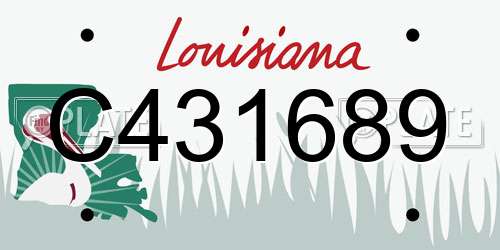 C431689 Louisiana License Plate