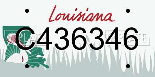 C436346 Louisiana License Plate