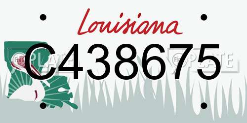 C438675 Louisiana License Plate
