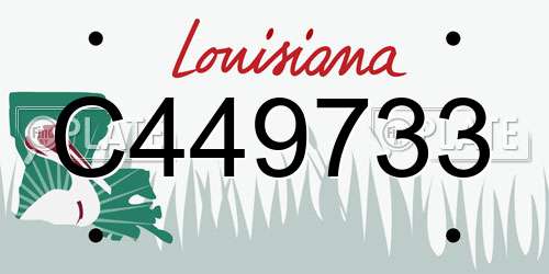 C449733 Louisiana License Plate