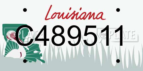 C489511 Louisiana License Plate