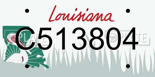 C513804 Louisiana License Plate