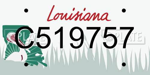 C519757 Louisiana License Plate