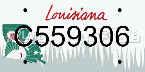 C559306 Louisiana License Plate