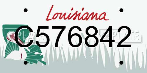 C576842 Louisiana License Plate