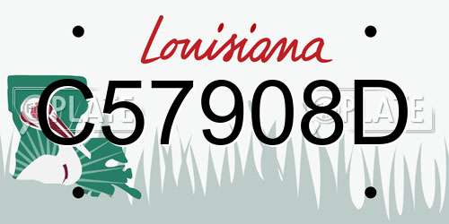 C57908D Louisiana License Plate