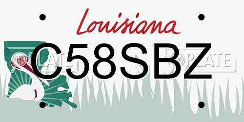 C58SBZ Louisiana License Plate