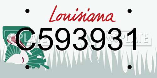C593931 Louisiana License Plate