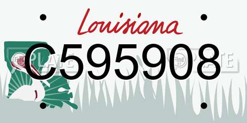 C595908 Louisiana License Plate