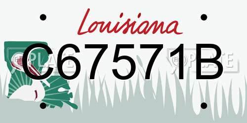 C67571B Louisiana License Plate
