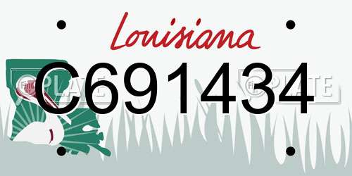 C691434 Louisiana License Plate
