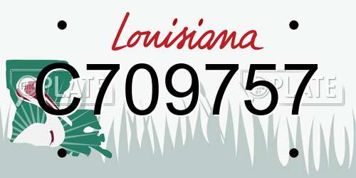 C709757 Louisiana License Plate