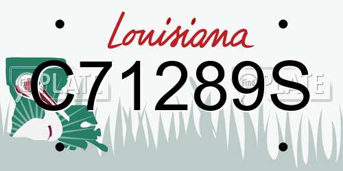 C71289S Louisiana License Plate