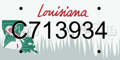 C713934 Louisiana License Plate