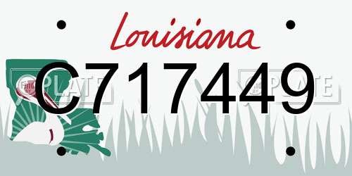 C717449 Louisiana License Plate