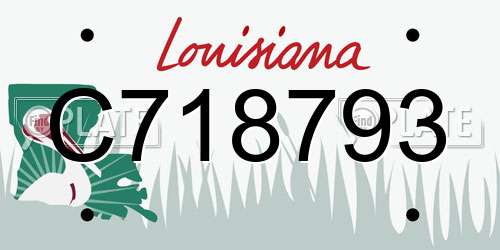 C718793 Louisiana License Plate