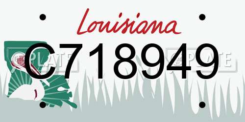 C718949 Louisiana License Plate