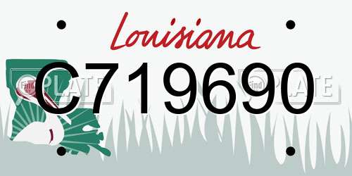 C719690 Louisiana License Plate