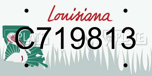 C719813 Louisiana License Plate