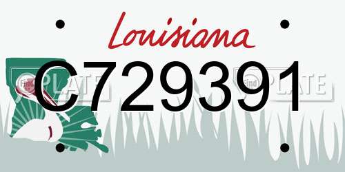 C729391 Louisiana License Plate