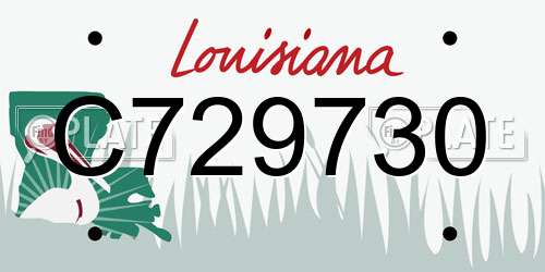 C729730 Louisiana License Plate