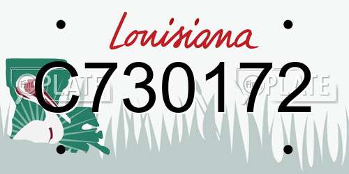 C730172 Louisiana License Plate