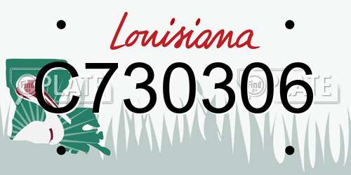 C730306 Louisiana License Plate