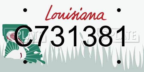 C731381 Louisiana License Plate