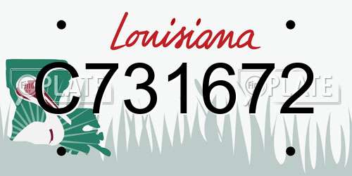 C731672 Louisiana License Plate