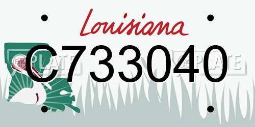 C733040 Louisiana License Plate
