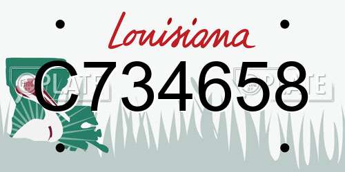 C734658 Louisiana License Plate