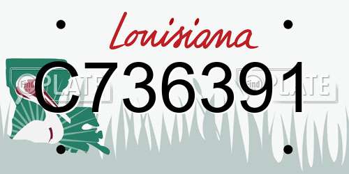 C736391 Louisiana License Plate