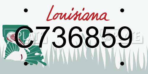 C736859 Louisiana License Plate