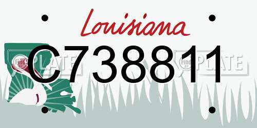 C738811 Louisiana License Plate