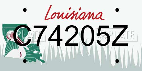 C74205Z Louisiana License Plate